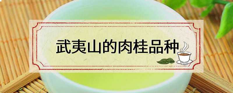 武夷山的肉桂品种