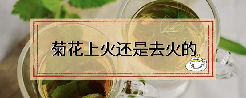 菊花上火还是去火的