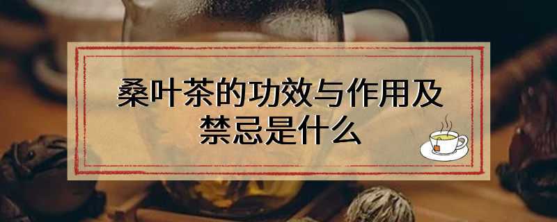 桑叶茶的功效与作用及禁忌是什么