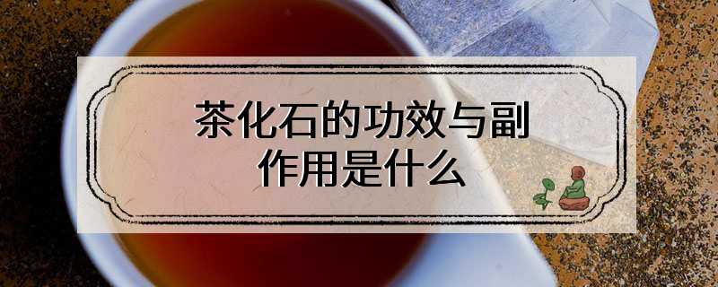 茶化石的功效与副作用是什么