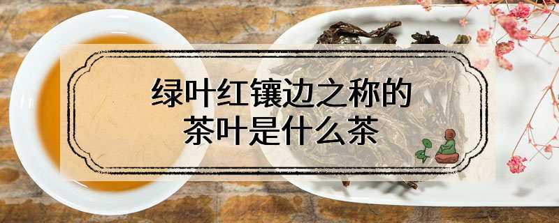 绿叶红镶边之称的茶叶是什么茶