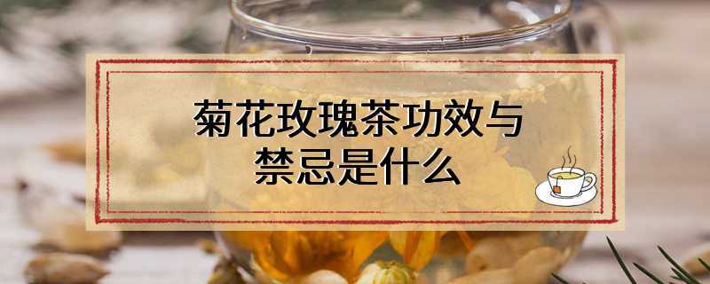 菊花玫瑰茶功效与禁忌是什么