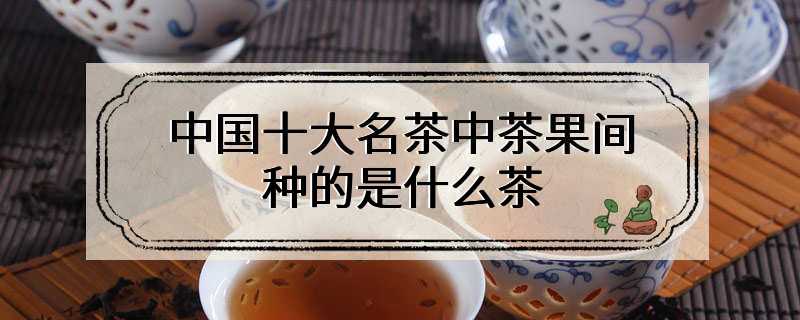中国十大名茶中茶果间种的是什么茶