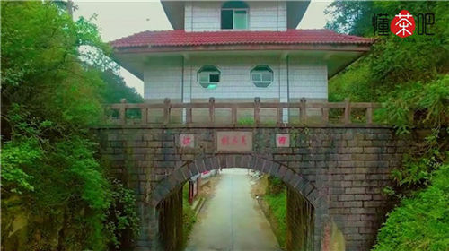 正山小种是什么茶