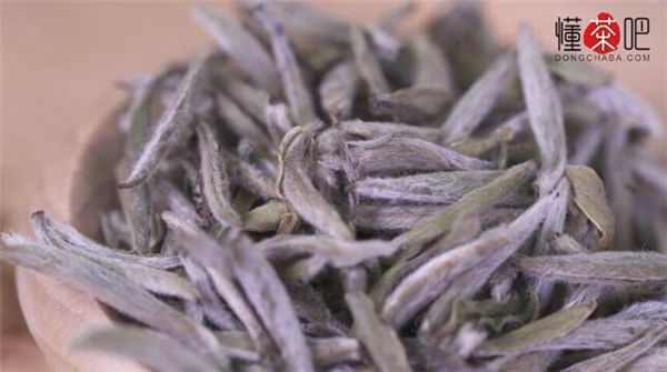 白茶是什么茶
