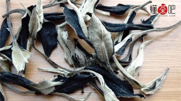 白茶是什么茶(1)