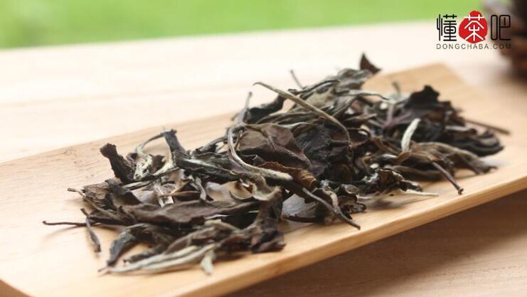 白茶是什么茶(3)