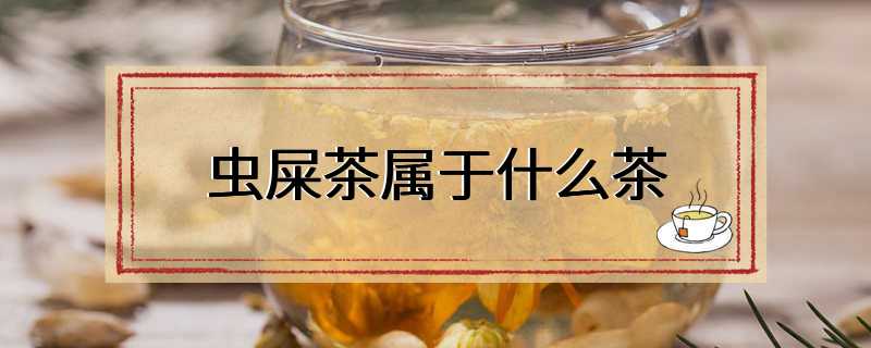 虫屎茶属于什么茶