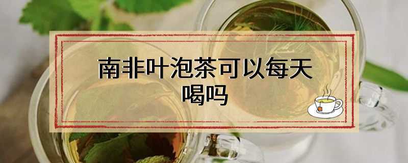 南非叶泡茶可以每天喝吗