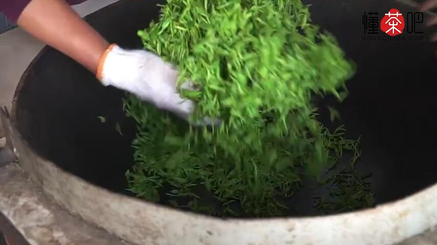 碧螺春原产地(1)