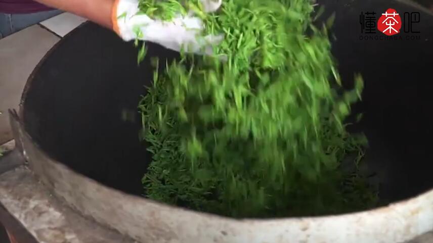 红茶和绿茶的区别(1)