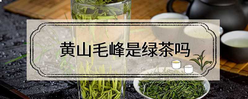 黄山毛峰是绿茶吗