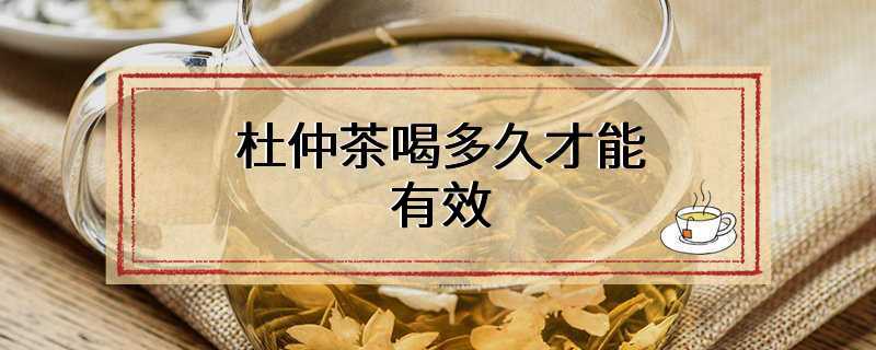 杜仲茶喝多久才能有效
