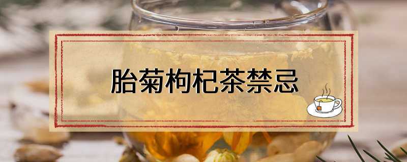 胎菊枸杞茶禁忌