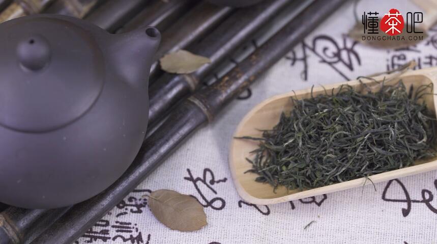 信阳毛尖茶用什么茶具冲泡