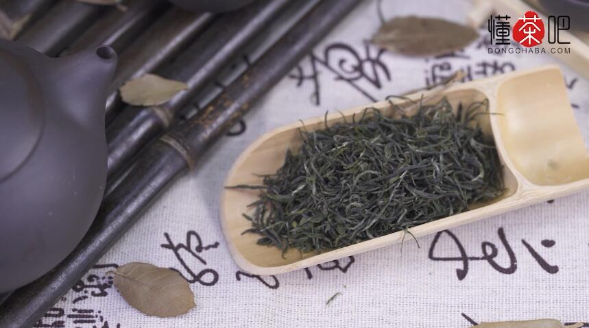 信阳毛尖茶用什么茶具冲泡(1)