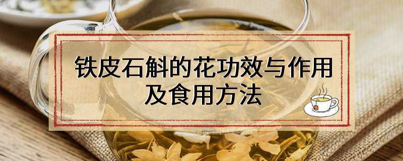 铁皮石斛的花功效与作用及食用方法