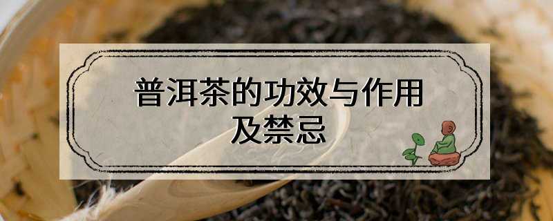 普洱茶的功效与作用及禁忌