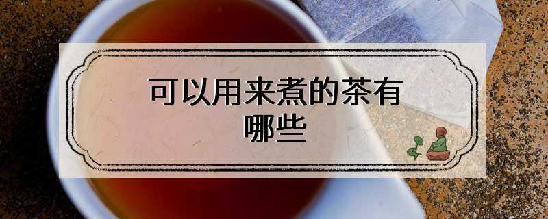 可以用来煮的茶有哪些