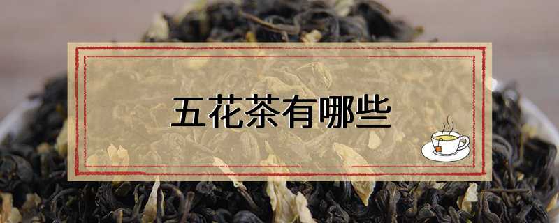 五花茶有哪些