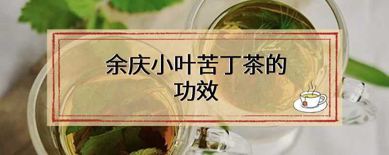 余庆小叶苦丁茶的功效