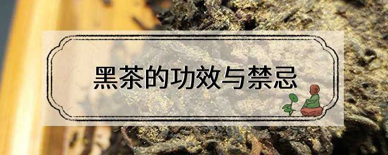 黑茶的功效与禁忌