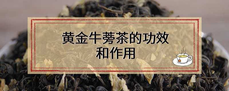 黄金牛蒡茶的功效和作用