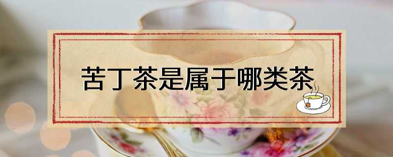 苦丁茶是属于哪类茶