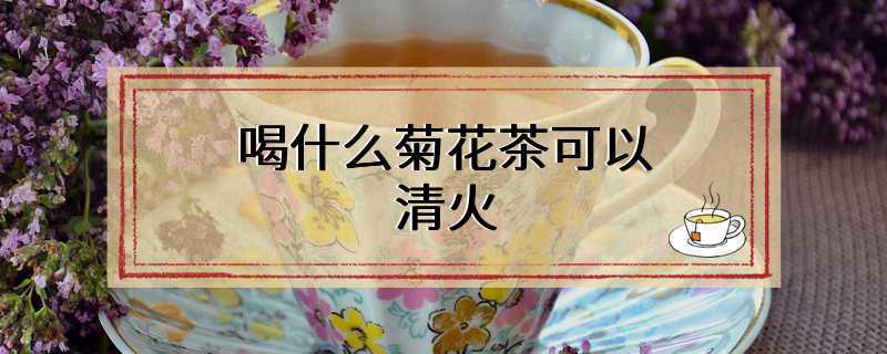喝什么菊花茶可以清火