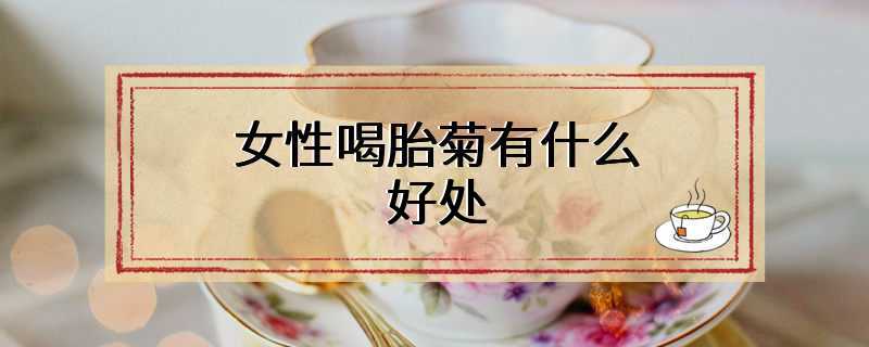 女性喝胎菊有什么好处