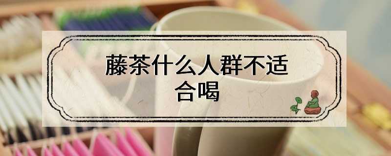 藤茶什么人群不适合喝