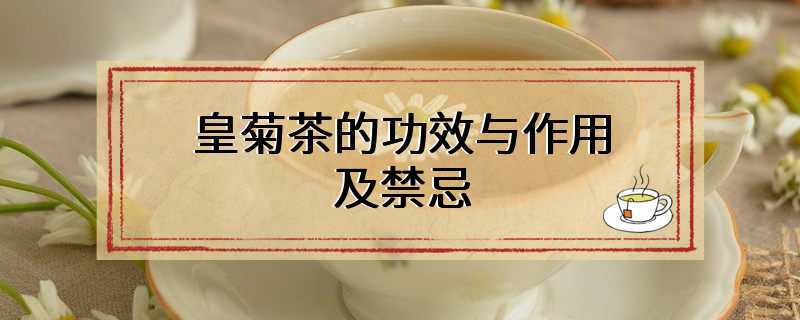 皇菊茶的功效与作用及禁忌