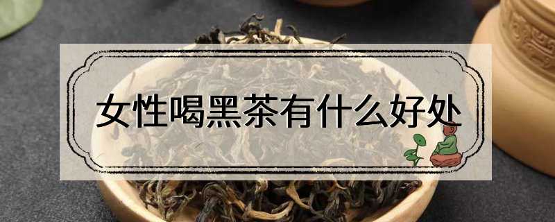 女性喝黑茶有什么好处