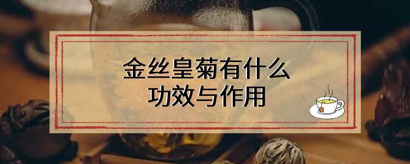 皇菊茶的功效与作用金丝皇菊