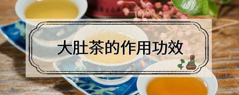 大肚茶的作用功效