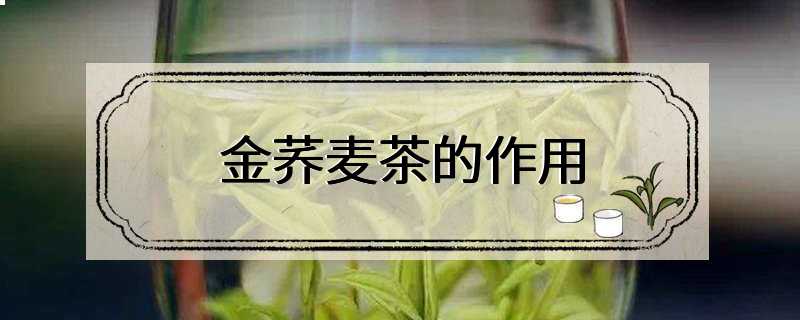 金荞麦茶的作用