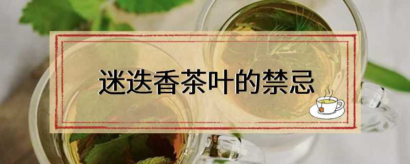 迷迭香茶叶的禁忌