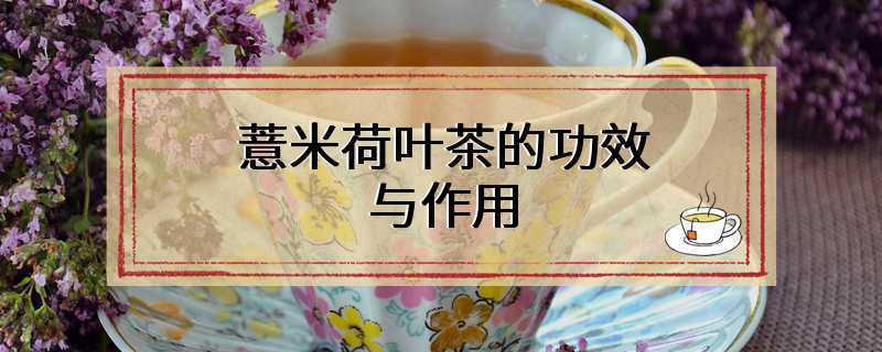 薏米荷叶茶的功效与作用