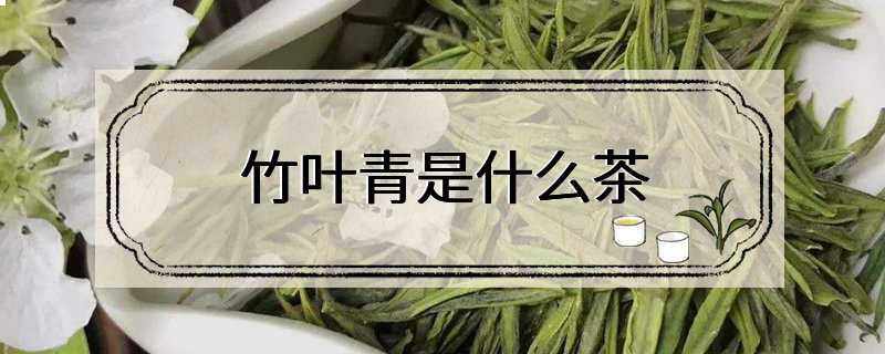 竹叶青是什么茶