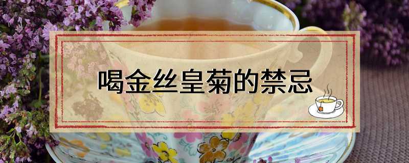 喝金丝皇菊的禁忌