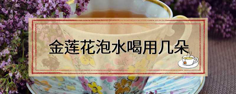金莲花泡水喝用几朵