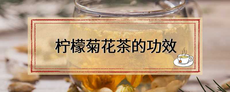 柠檬菊花茶的功效