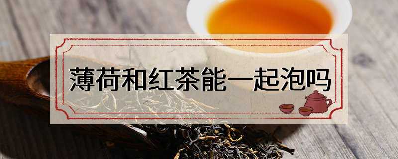 薄荷和红茶能一起泡吗