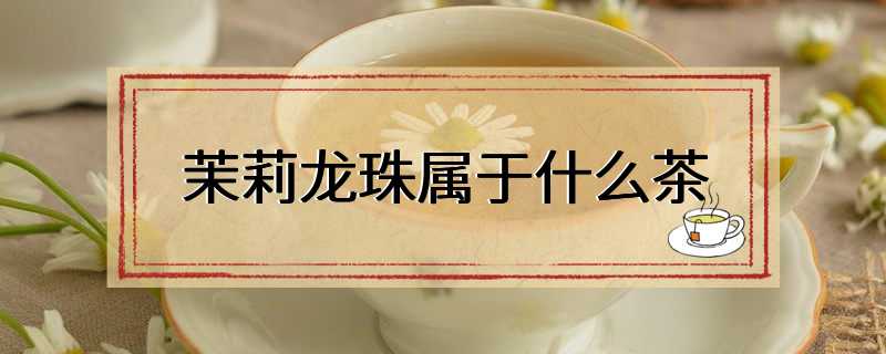 茉莉龙珠属于什么茶