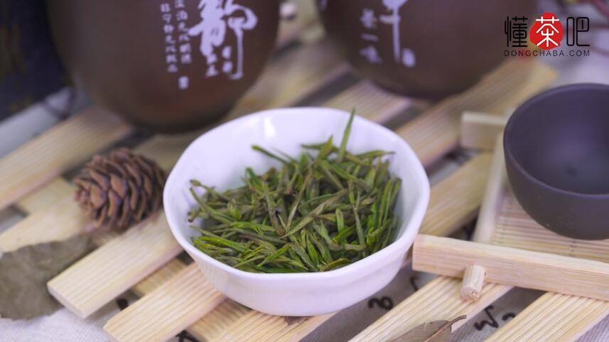 安吉白茶的特点和功效