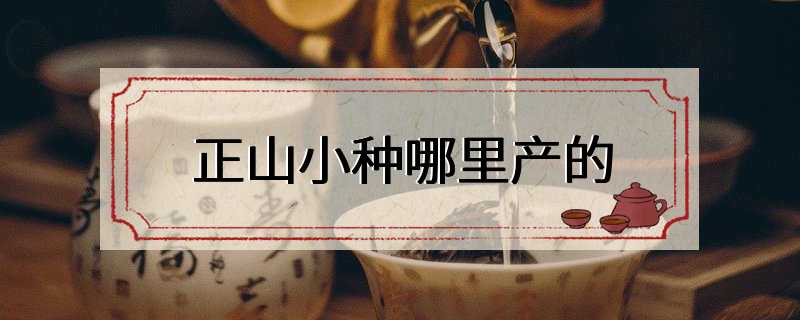 正山小种哪里产的