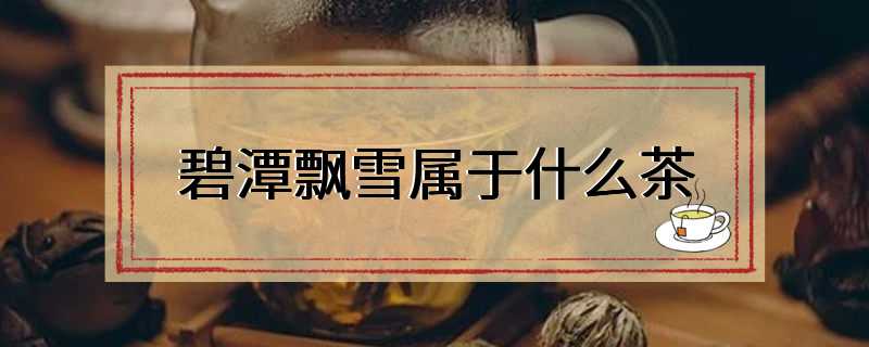 碧潭飘雪属于什么茶