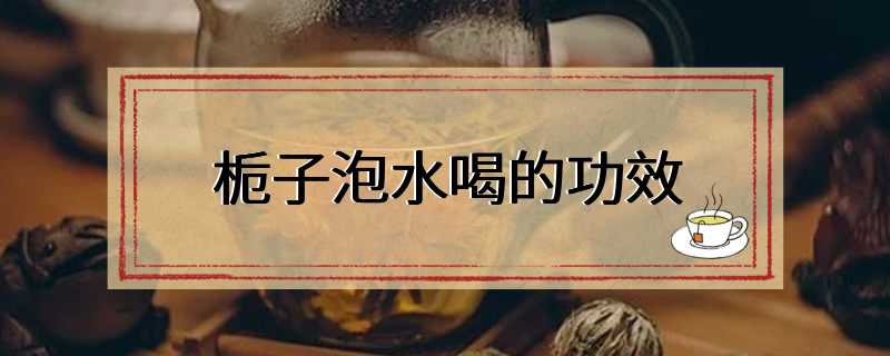 栀子泡水喝的功效