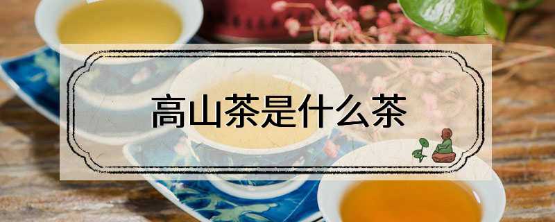 高山茶是什么茶