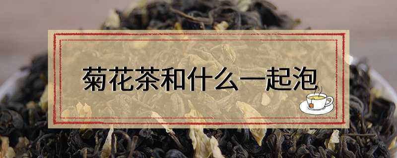 菊花茶和什么一起泡